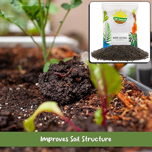 Soil Sunrise Premium Organic Worm Castings (8 Pounds) 8QT All Natural Soil Additive Soil Builder and Fertilizer