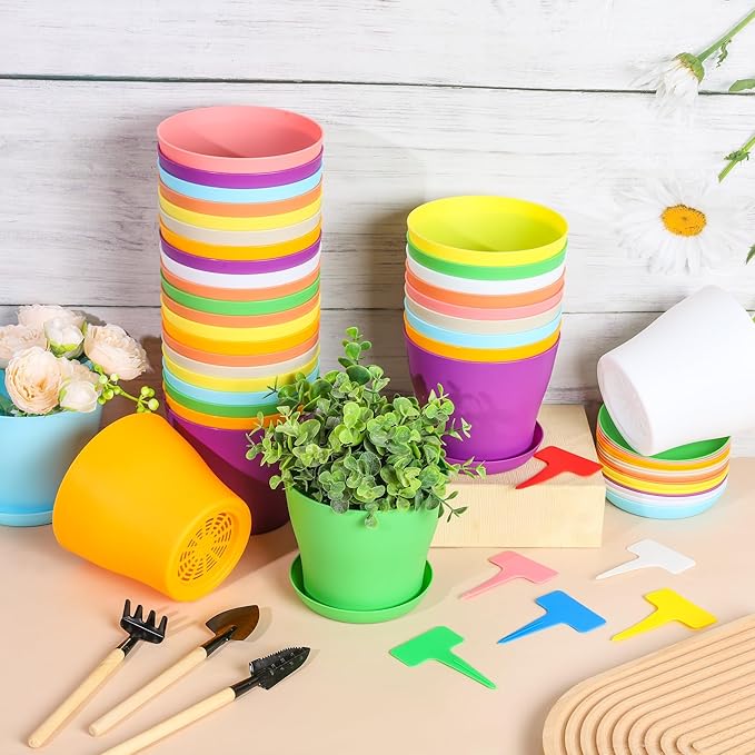 48 Pack Plastic Planters 5.5 Inch Flower Plant Pots Indoor Set Thickened Seedling Nursery Pots Seed Starting Pots with Drainage Holes Saucers Mini Garden Tool for Home Office Garden Multicolor