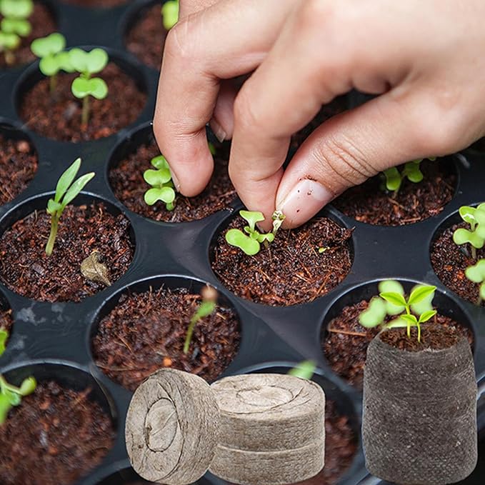 Potting Soil - Organic Peat Rooting Pellets Compressed Plant Fertilizer Discs with Nutrient Rich Formula Fast Expansion Function Ideal for Vegetable Flower Tree Cactus Orchid Bonsai Citrus