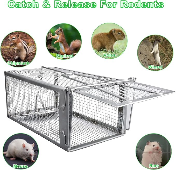 Humane Rat Traps 2-Pack No Kill Small Animal Cage Trap Live Mouse Trap Cage Catch and Release Trampa para Ratones Chipmunk Rodent Trap That Work for Indoor and Outdoor - 12.3 L x 6.5 W x 5.3 H