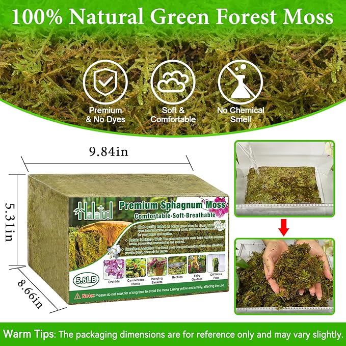 Halatool 5.5LB Green Forest Moss Natural Sphagnum Moss for Plants Fluffy Orchid Moss for Orchids Repotting Dried Plant Moss for Potted Plants Indoor &amp Outdoor