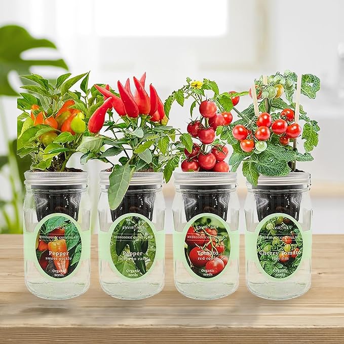 Hydroponic Herb Growing Kit Set Self-Watering Mason Jar Herb Garden Starter Kit Indoor Grow 4 Kinds of Herbs from Seeds (2 Tomato &amp 2 Pepper)