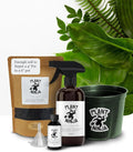 Premium Starter Bundle Includes: 16oz Spray Bottle 1oz Concentrate (Funnel Included) of Plant and Leaf Shine Soil Blend 6” Pot for Indoor Plants House Plants w/Potting Soil - Small