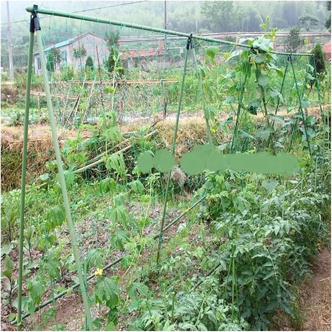 1Pcs 180cmx360cm Green Plant Climbing Netting Nylon Plant Trellis for Garden Vine Climbing Vegetable Loofah Flowers Growing (Color : Green Size : 180 X 180cm(Nylon))