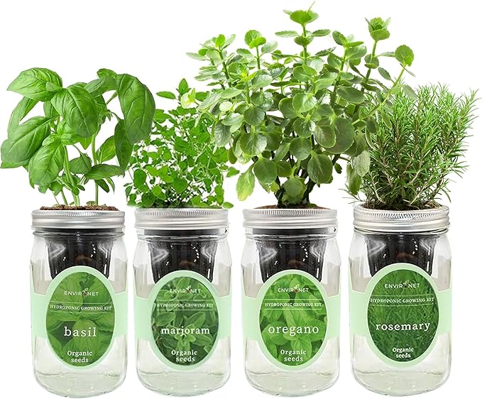 Hydroponic Mason Jar Indoor Garden Organic Seed Starter Kits - Italian Herb Blend Growing Kits Windowsill Herb Garden Gardening Gift (Basil Marjoram Oregano Rosemary)
