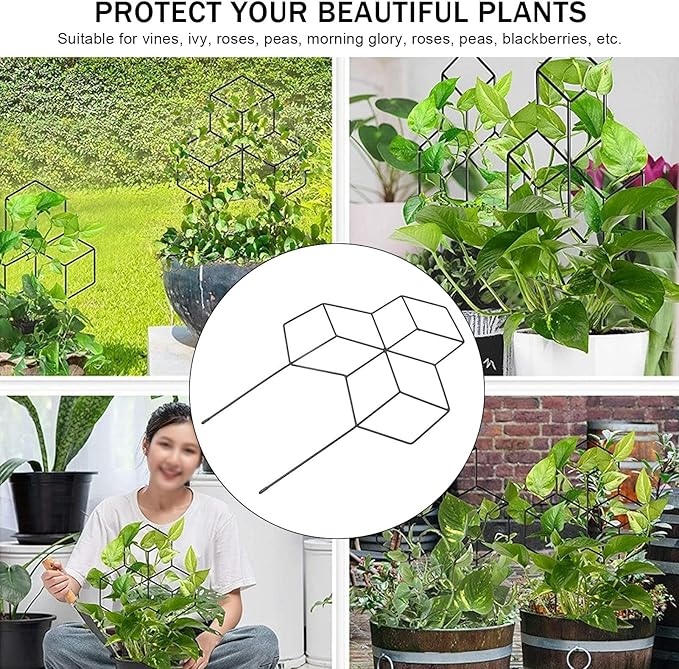 Small Metal Trellis Metal Garden Trellis Indoor Plant Trellis for Climbing Plants Rustproof Pot Trellis Iron Garden Trellis Plant Trellis Support for Houseplant Flower Vines