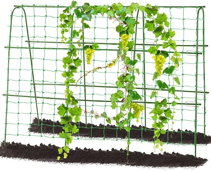 Outdoor Trellis for Climbing Plants Arch Tunnel U-Frame Trellis with Plant Support Clips for Grape Zucchini Plant Metal Tall Green MWM-11-U-120x160-GREEN