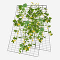 S AFSTAR 46 x 34 Inch Cucumber Trellis for Garden 4 PCS Foldable A-Shape Plant Support W/18 Clips 8 Ground Stakes 4 Spiral Connectors 12 Cable Tie Twist Tie Garden Trellis for Climbing Plants