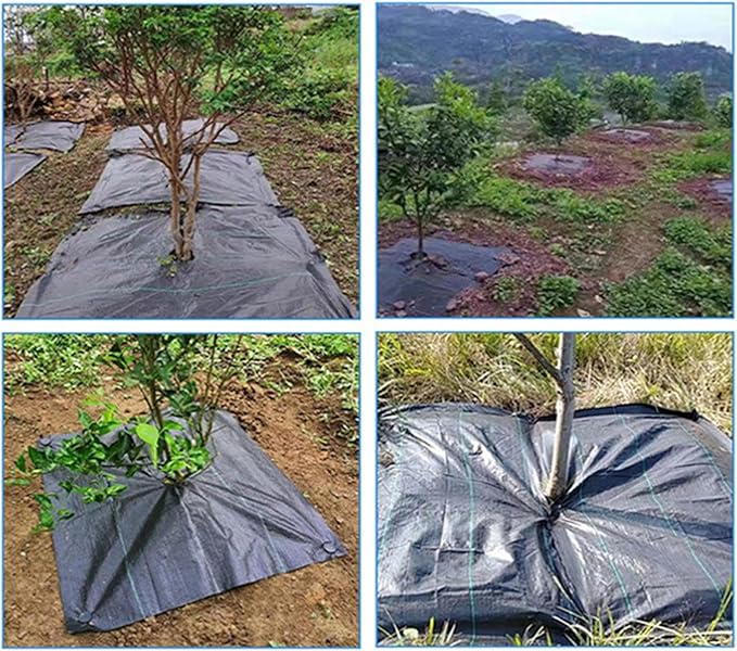 20 Sheets Open Grass Cloth Tree Control Control Film Greenhouse Mat Landscape Membrane Cloth Garden Landscape Fabric Tree Rings for Control Landscaping Tree Protection(31.5in/0.8m)