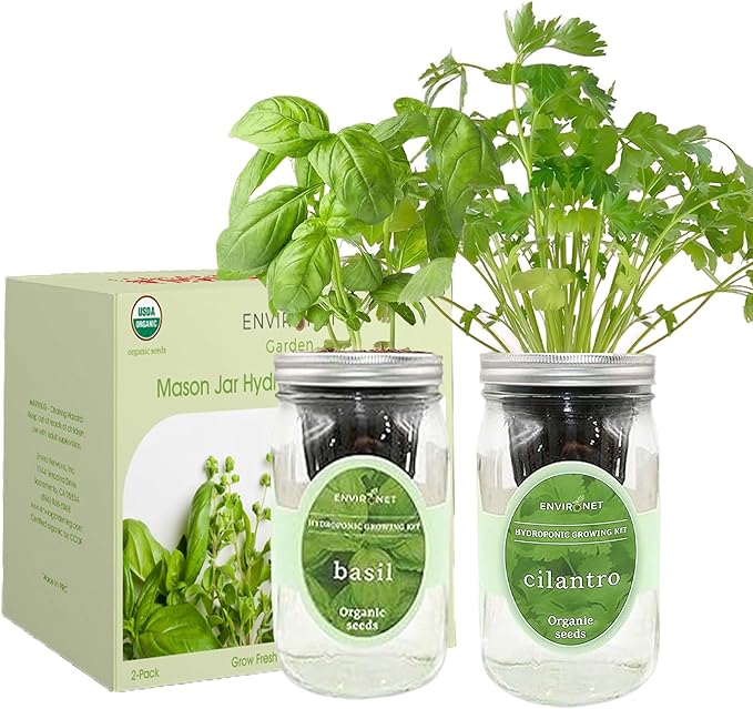 2-Pack Hydroponic Mason Jar Herb Garden Kit Indoor Herb Garden Self-Watering Starter Kit (BasilCilantro)