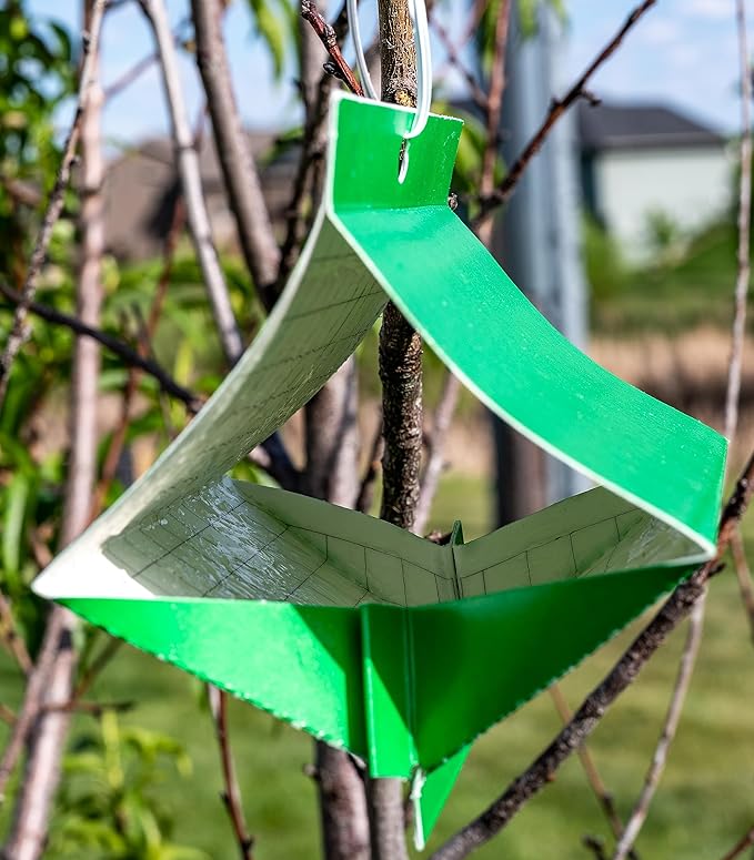 VivaTrap VT-105 Peach Tree Borer + Clearwing Moth Trap &amp Lure (2 Pack 8 Week)