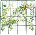 5.25ft Tall Garden Arch Trellis for Climbing Plants Metal Plant Support Archway for Vegetables Fruits &amp Flowers | Outdoor Arbor Tunnel Trellis for Yard and Garden