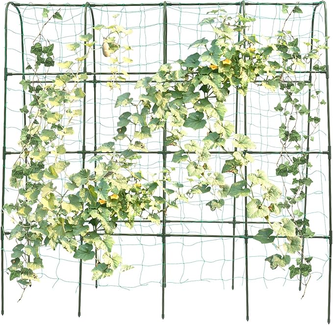 5.25ft Tall Garden Arch Trellis for Climbing Plants Metal Plant Support Archway for Vegetables Fruits &amp Flowers | Outdoor Arbor Tunnel Trellis for Yard and Garden