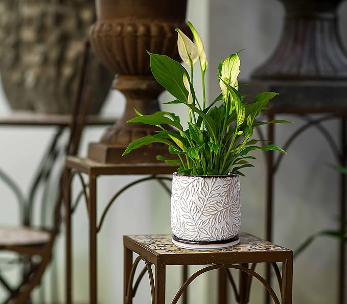 D'vine Dev 6 Inch Embossed Leaves Stoneware Planter Pot with Drainage Hole and Saucer Smoked White Set of 1 27-A-X-1