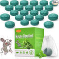 Rodent Repeller 24 Packs Mouse Trap Peppermint Oil Spray for Mice Indoor &amp Outdoor Use Safe for Humans &amp Pets Pest Control Moth Balls Spider Defense Car Engine &amp Home Protection