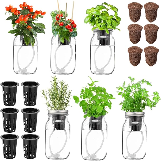 6 Set Hydroponic Mason Garden Jar Kit Self Watering Herb Hydroponic Planter Starter Kit with Net Pot Garden Flower Plant Growing Gift for Indoor Herbs Windowsill Gardening
