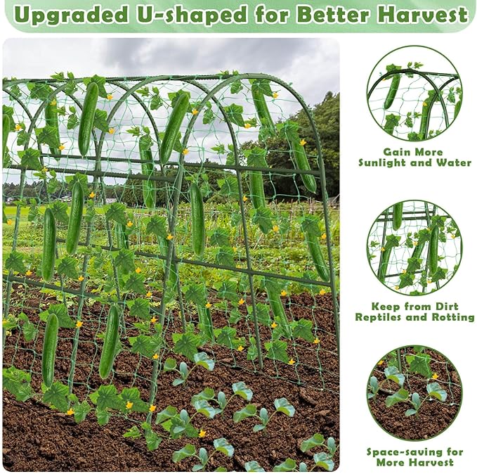 Cucumber Trellis for Raised Bed Large Size Garden Arch Trellis for Climbing Plants Outdoor Metal Garden Trellis for Spring Vegetables Cucumber Trelli for Tomato Bean Pea Grape Plant