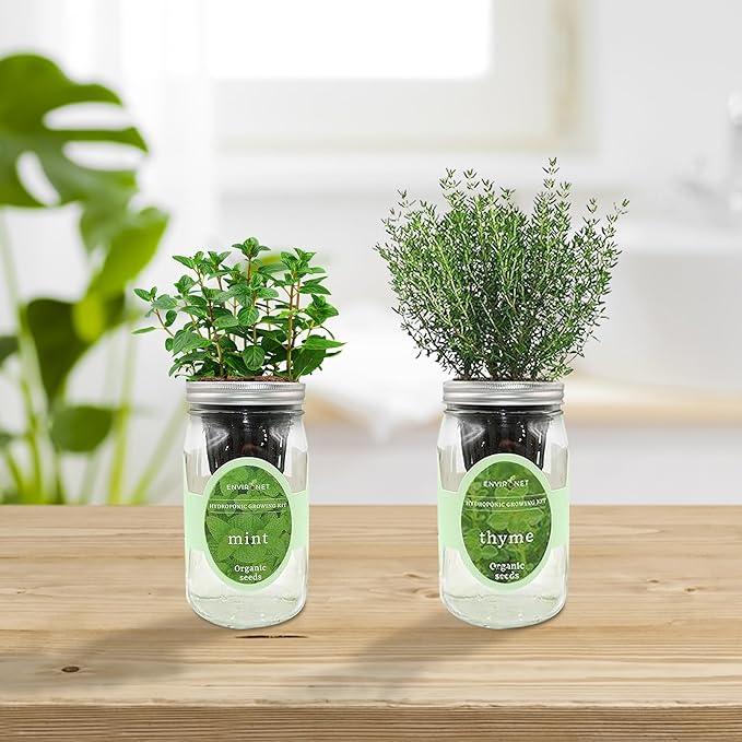 2-Pack Hydroponic Mason Jar Herb Garden Kit Indoor Herb Garden Self-Watering Starter Kit New Christmas Gift for Mom (MintThyme)