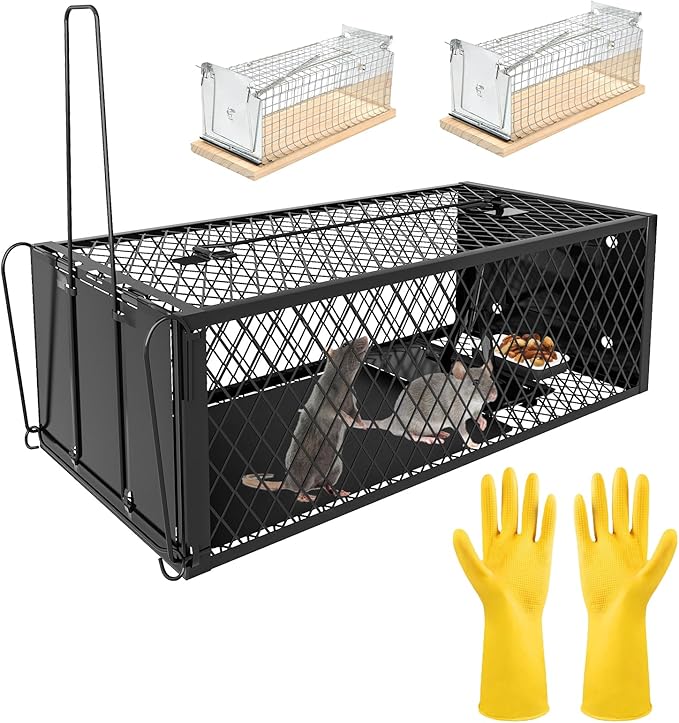 Humane Rat Traps - Large 12.5 Inches Upgraded Mouse Trap for Outdoors &amp Indoors - Reusable Rat Trap Cage for Mouse and Small Animals - Effective Quick Simple to Use (3-Pack)
