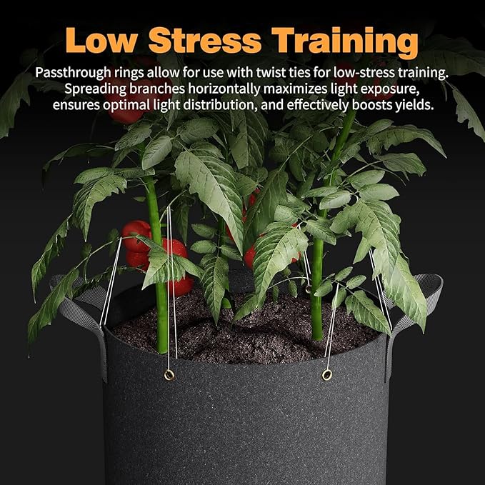Self-Watering Grow Bags 5-Pack 10 Gallon 420G Thick Nonwoven Fabric Pots with Reinforced Handles and Multi-Purpose Rings for Low Stress Plant Training Fruits Vegetablesand Flowers