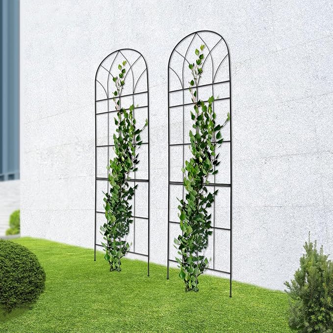 Generic Metal Garden Trellis for Climbing Plants 2 Pack BlackEasy Assembly