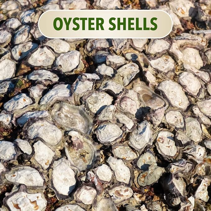 The Bud Grower | California Hot Soil Premium Oyster Shell Flour | 6 lbs of Fine Powder 100% Organic Oyster Shell Flour | All-in-One Grow Tent Kit's &amp Supplies