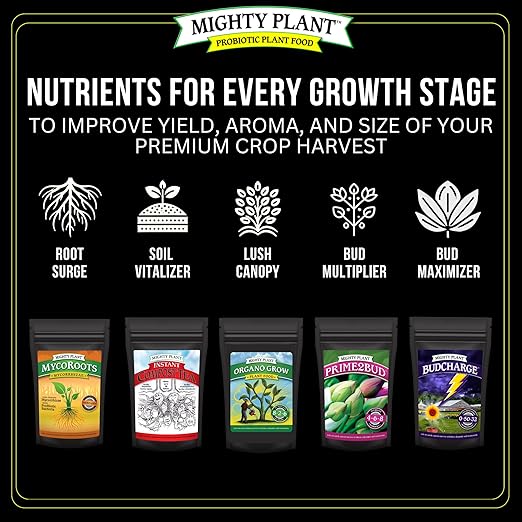 Flowering Bloom Booster Plant Enhancer – Arginine-Powered Growth Formula for Explosive Bloom &amp Fruit Set | Prime2Bud Ideal for Garden Flowers &amp Fruit-Bearing Vegetables (1 Pounds)