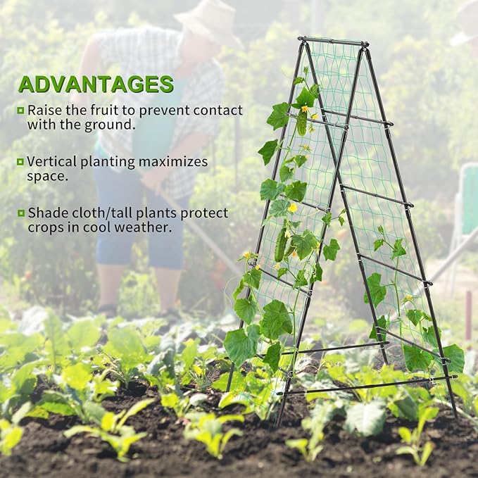 Garden Trellis for Climbing Plants 71 H x 32 W Metal A-Frame Cucumber Trellis Outdoor Fruits Watermelon Plants Vegetable Tomato Squash Peas Beans with Netting Black
