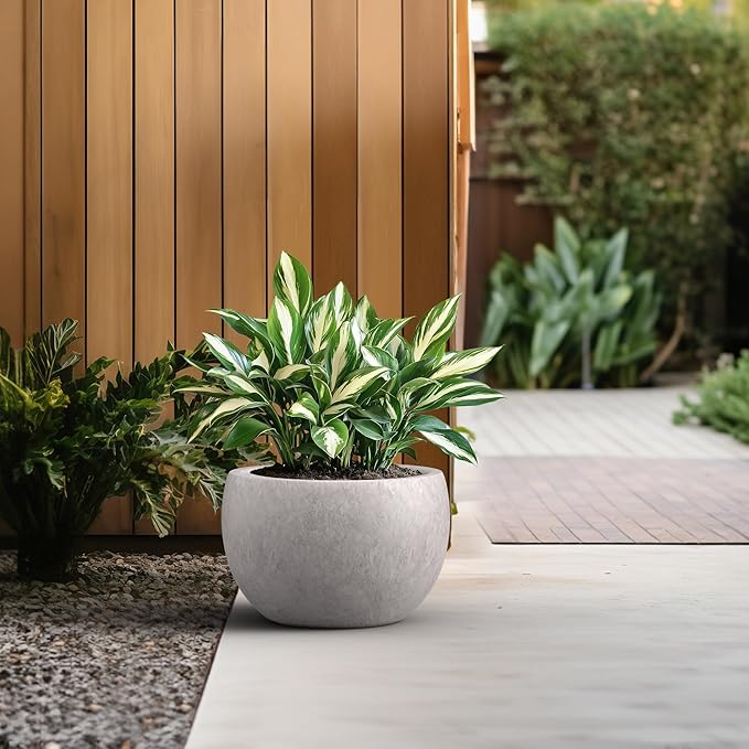 Kante 15.7 Dia Round Concrete Planter Outdoor/Indoor Large Bowl Plant Pots with Drainage Hole and Rubber Plug for Garden Patio Balcony Home Light Gray