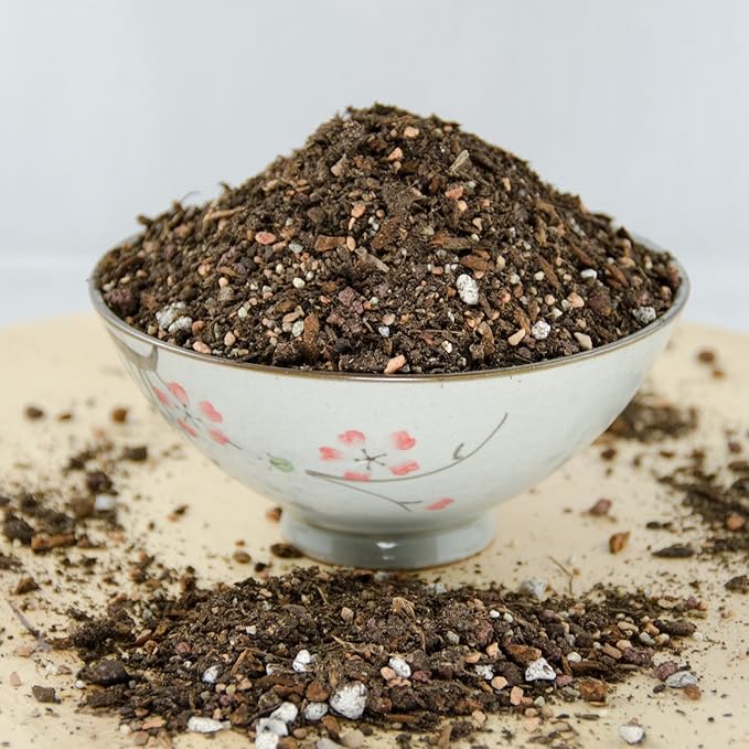3 Gal. Special Blend Organic Bonsai Tree Soil Mix with Coarse Sand Mycorrhizae Pumice &amp Red Lava - Small Grain
