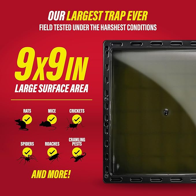 Catchmaster Jumbo Rat &amp Mouse Glue Traps 6Pk Large Bulk Glue Board Rat &amp Mouse Traps Indoor for Home Adhesive Plastic Tray for Snakes Mice &amp Spiders Pest Control for House &amp Garag