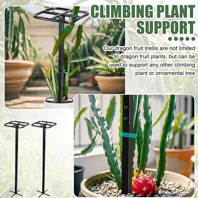 2 Pack 12 x 48 Inch Dragon Fruit Trellis Adjustable Garden Metal Plant Climbing Support with Wide Stretch Ties for Outdoor Vertical Gardens Vining Plants