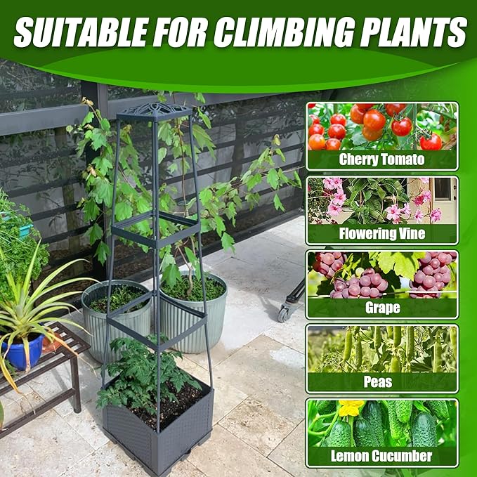 2 Packs Raised Garden Bed Tomato Planter Box with Trellis56.8 Self-Watering Tomato Cage with Trapezoidal Trellis for Climbing Plants Flowers Vegetables Vine in Patio Garden Indoor Outdoor