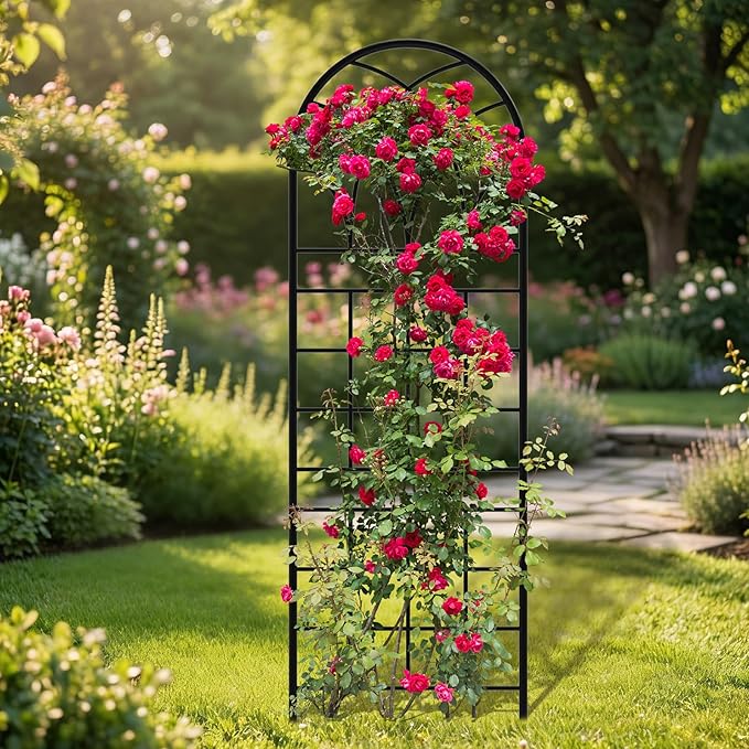 Garden Trellis for Climbing Plants 6 Pack 75.6 Wx 64.6 H Rustproof Flower Trellis with Black Coating Outdoor Climbing Rose Trellis Cucumbers Support for Courtyards Lawns (Square Grid 6 Pieces)