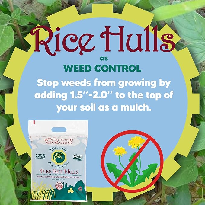 Organic Mechanics Pure Rice Hulls 8 qt (Pack of 2) - Sustainable Alternative to Perlite - Enhances Drainage Porosity and Air Space - Eco-Friendly