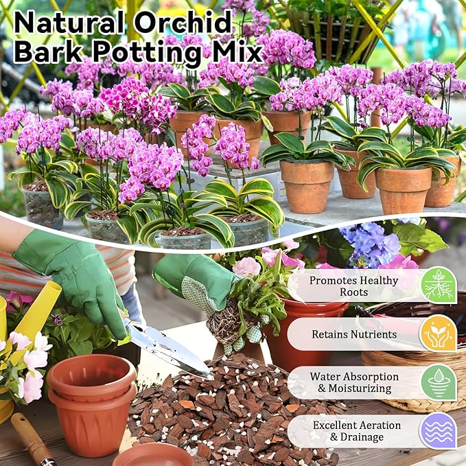 Riare 6QT Orchid Potting Mix Natural Orchid Bark Potting Mix Soil Medium with Pine Bark and Perlite Premium Orchid Repotting Kit for Phalaenopsis Dendrobiums Enhanced Drainage &amp Root Expansion