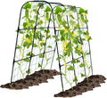Garden Trellis for Climbing Plants Outdoor Cucumber Trellis for Raised Bed Garden Arch Trellis Support for Cucumbers Tomatoes Beans Peas 50x48 inch Metal Trellis with Netting Black