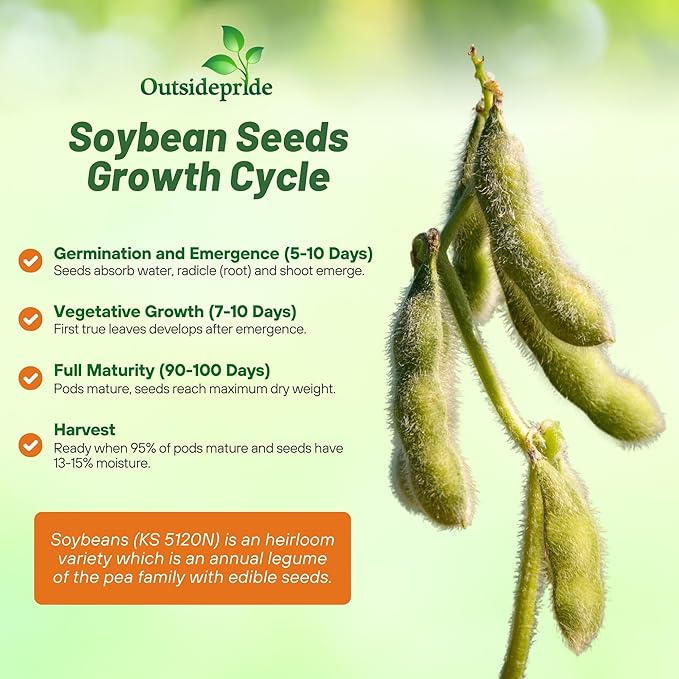Outsidepride Soybean Seeds - 5 lbs High-Protein &amp High Yield Heirloom Variety Soy Beans Ideal for Oil Processing Forage Animal Food Plots &amp Wildlife Feed for Poultry &amp Other Farm Anima