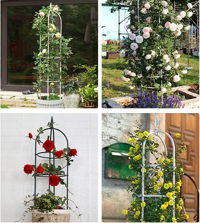Garden Obelisk Trellis for Climbing Plants 70/90/110cm Tall Tomato Cage Trellis for Garden Indoor Outdoor Potted Plant Support 1pcs(Color:WhiteSize:70cm/27.5in)