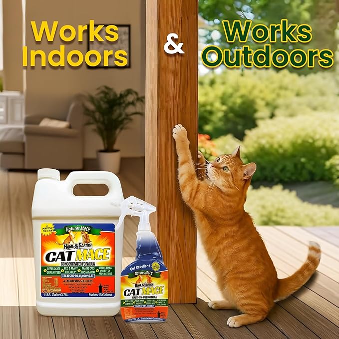 Nature's MACE Cat Mace Cat Repellent Training Liquid Deterrent Tool Makes 16 Gallons Keep Out of Lawn &amp Garden Large Areas Outdoor &amp Indoor Use Yards Landscaped Plants 1 Gallon Concen