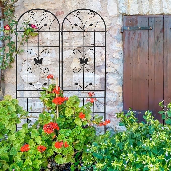 2 Pack Metal Garden Trellis 86.7 X 19.7 Rust-Resistant Trellis for Climbing Plants Outdoor Flower Support Black Black Galvanized Round Pipe with Powder Coating Outdoor Garden Seasonal Decor