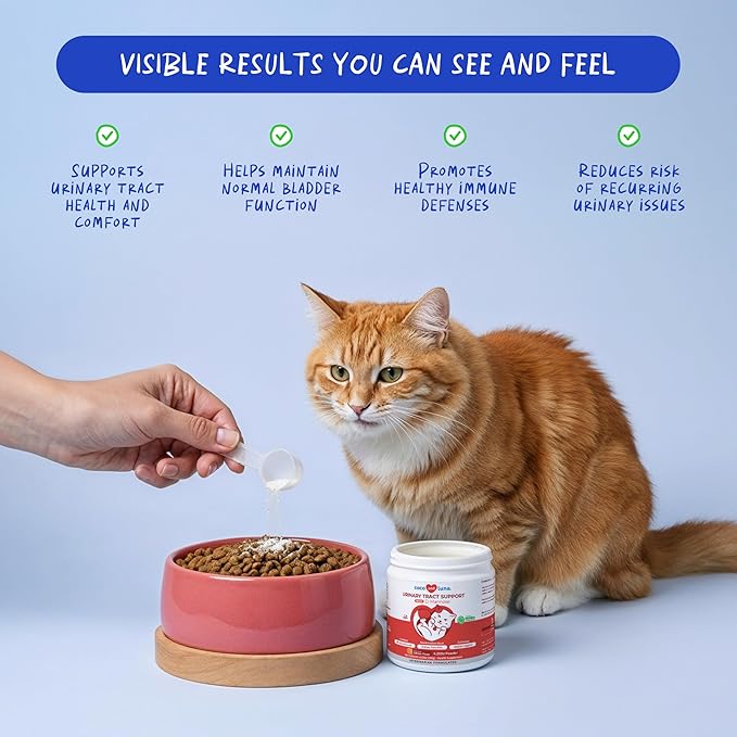 Cranberry for Cats - Urinary Tract Support Bladder Health Dog UTI Bladder Stones Incontinence Support (Powder for Cats)