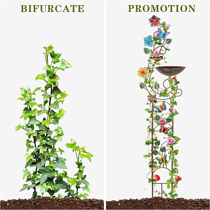 57” Bird Bath with Garden Trellis for Climbing Plants Outdoor Small Decorative Trellises Metal Birdbath Bird Baths 1 Piece (Butterfly)