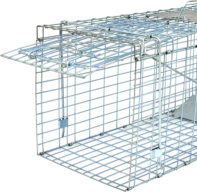 32 x 12 x 12.5 Large Humane Live Animal Trap - 1-Door Solid Steel Catch &amp Release Cage for Raccoons Rabbits Stray Cats Squirrels Groundhogs Opossums Armadillos