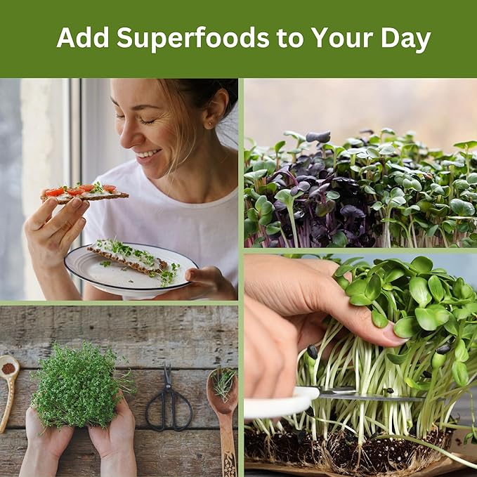 Complete Home Microgreens Kit - Indoor Garden System - Includes 2 Sets of Reusable Trays Spray Mister 2 pkgs of Hydroponic Growing Medium Organic Radish and Broccoli Seeds