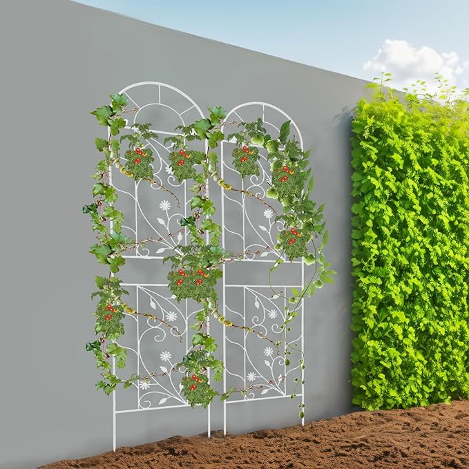 2 Pack Metal Garden Trellis for Climbing Plants 82.6”Tall Outdoor Iron Plant Stand for Vine Flowers Rustproof Green Decorative Fence for Yard Patio Lawn (White)