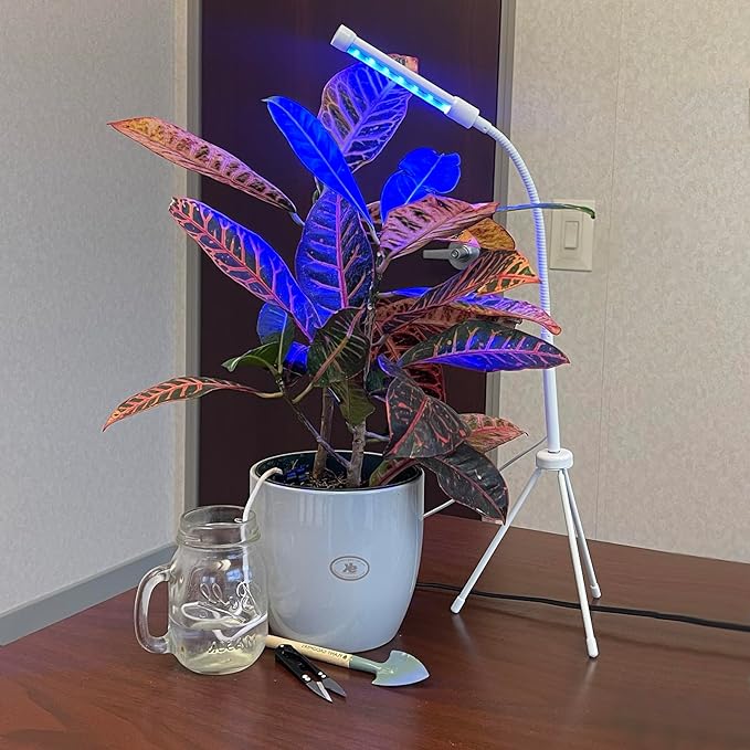 Plant Grow &amp Groom 3 Pc Kit (Grooming Tools + 4-Spike Watering Kit + Grow Light)