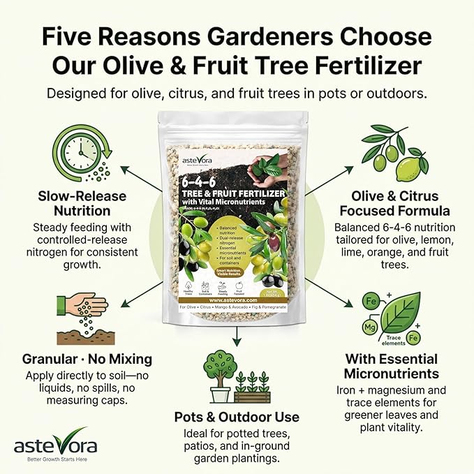 Complete Olive Care Duo – Olive Tree Potting Mix (5 quarts) Indoor Plant Soil &amp Olive Tree Fertilizer (1/2 Quart)