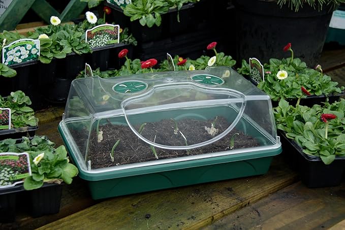 EarlyGrow Medium Seed and Herb Domed Propagator with Vented Side Height Extension and Security Clip SetGreen