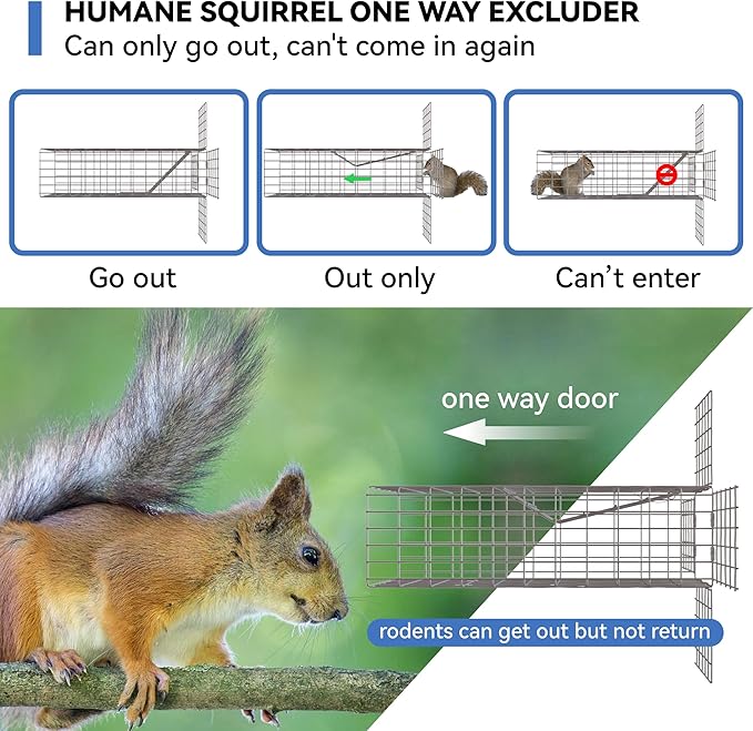 One Way Door for Squirrels Excluder Humane Squirrel Traps OutdoorM Reusable Squirrel and Rodent Trap with Copper Mesh for Chipmunks Mice Rats Includes DIY Installation Kit